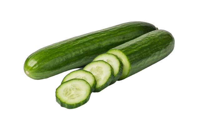 Cucumber