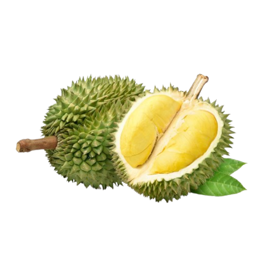 D24 Durian