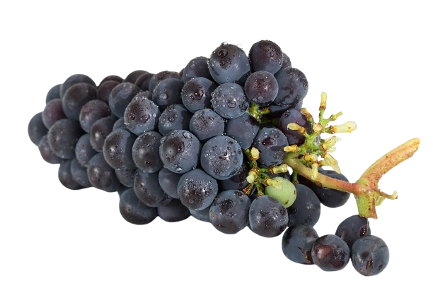 Grape
