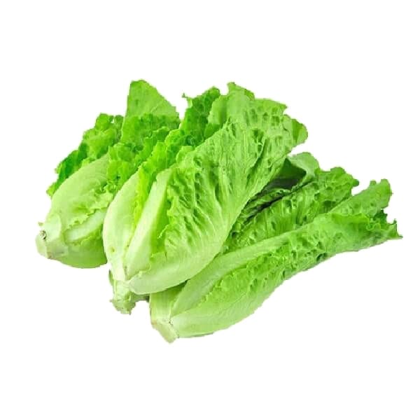 Lettuce