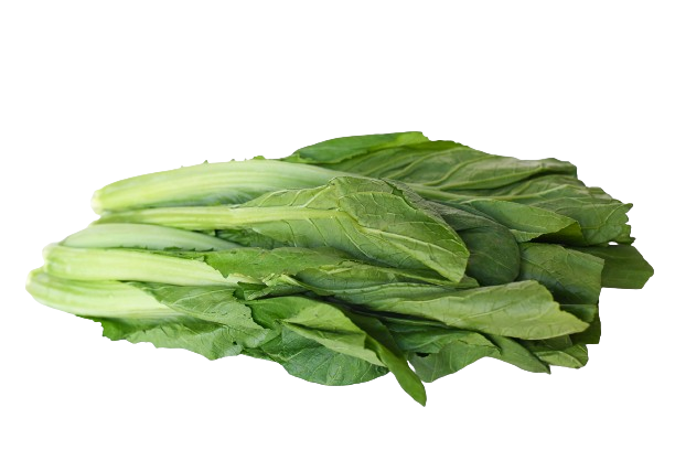 Mustard Green