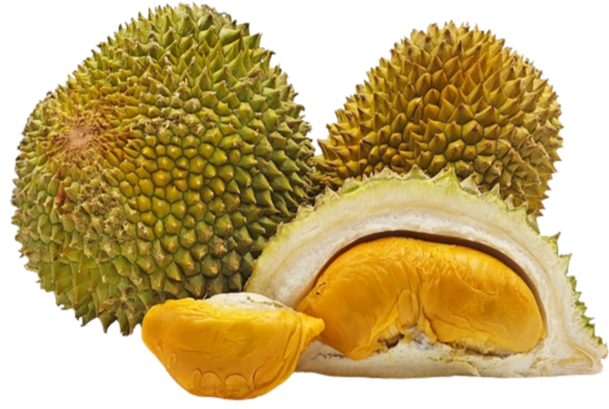 Red Prawn Durian