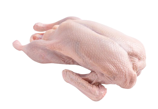 Whole Duck